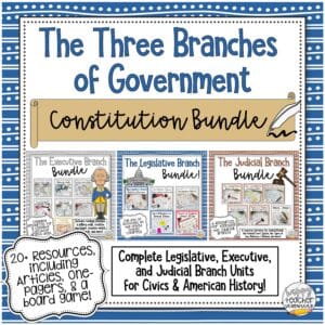 Court What Is One Way The Executive Branch Can Check The Judicial