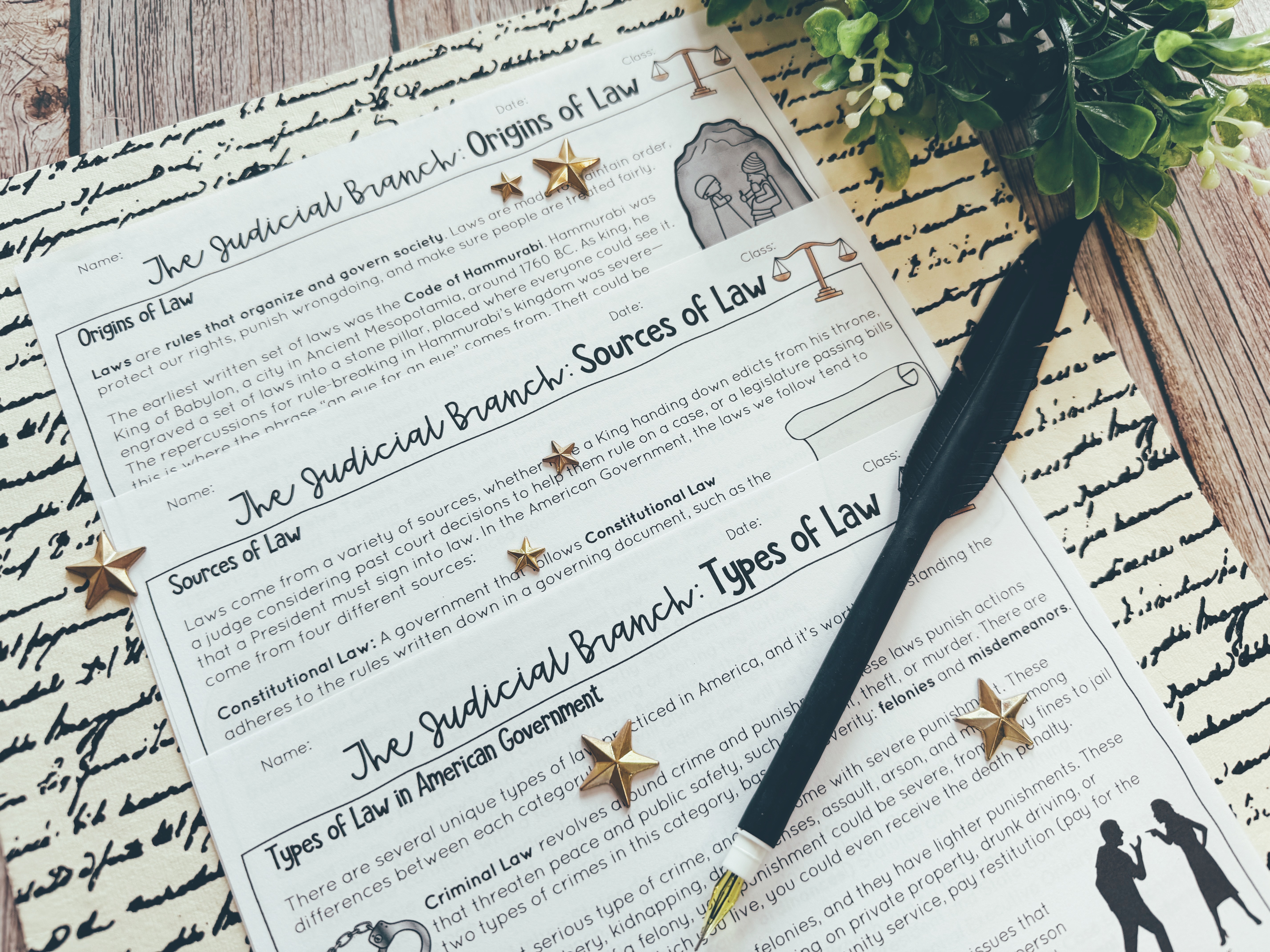 Judicial Branch Types of Law 3-page article displayed on a table.