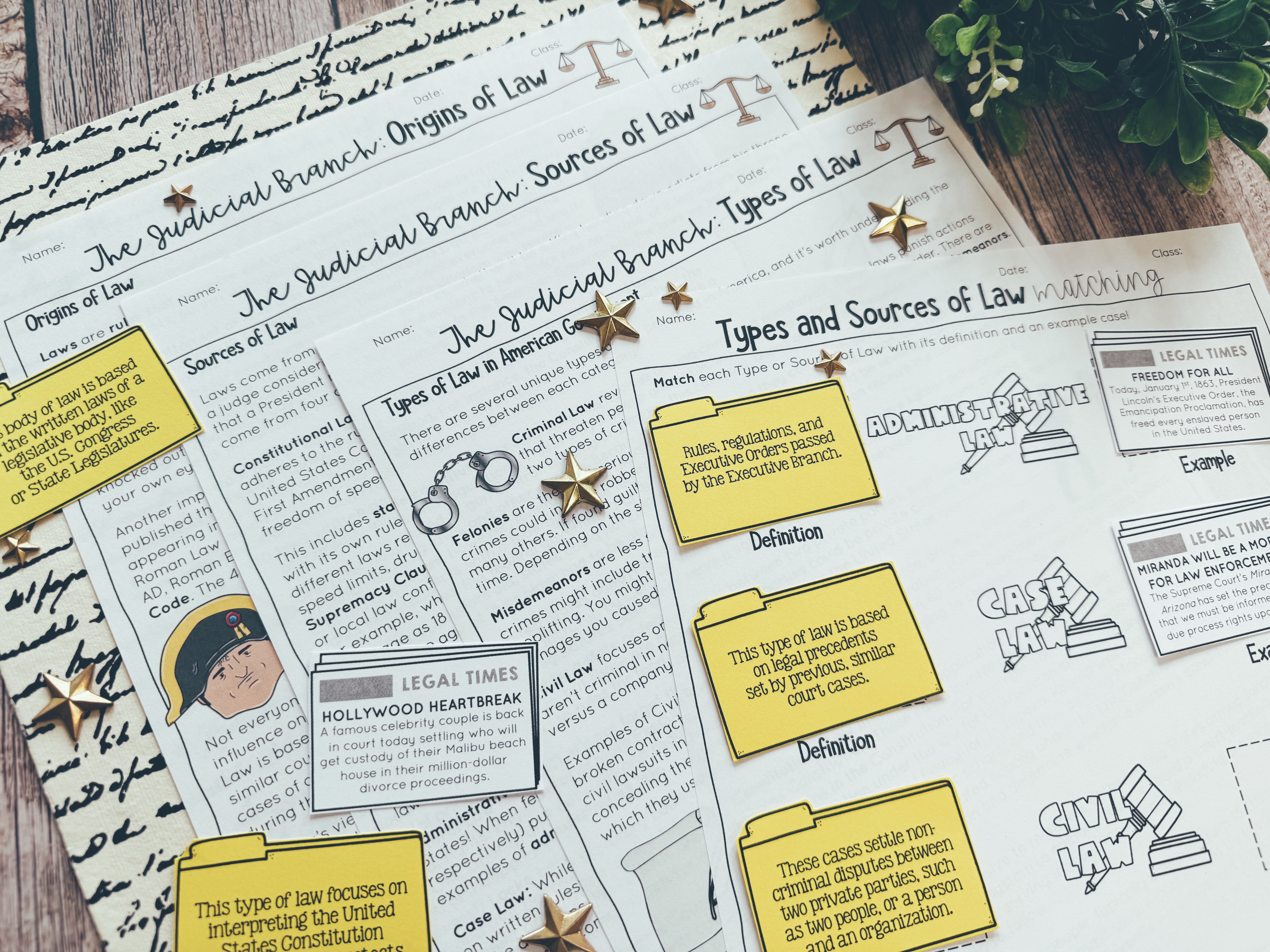 The Judicial Branch Types and Sources of Law article and matching activity displayed.