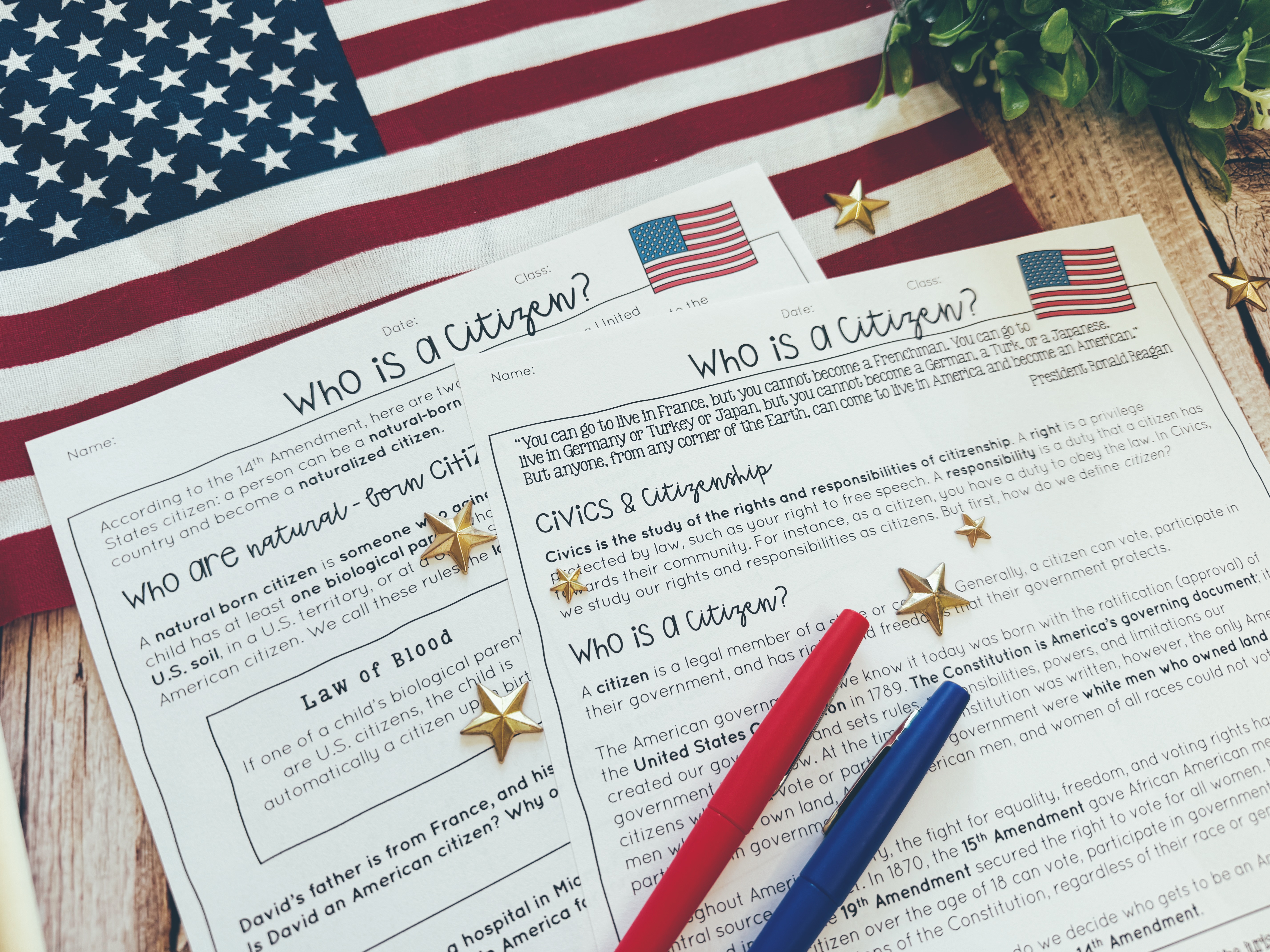 Who Is a Citizen? Citizenship Worksheet displayed